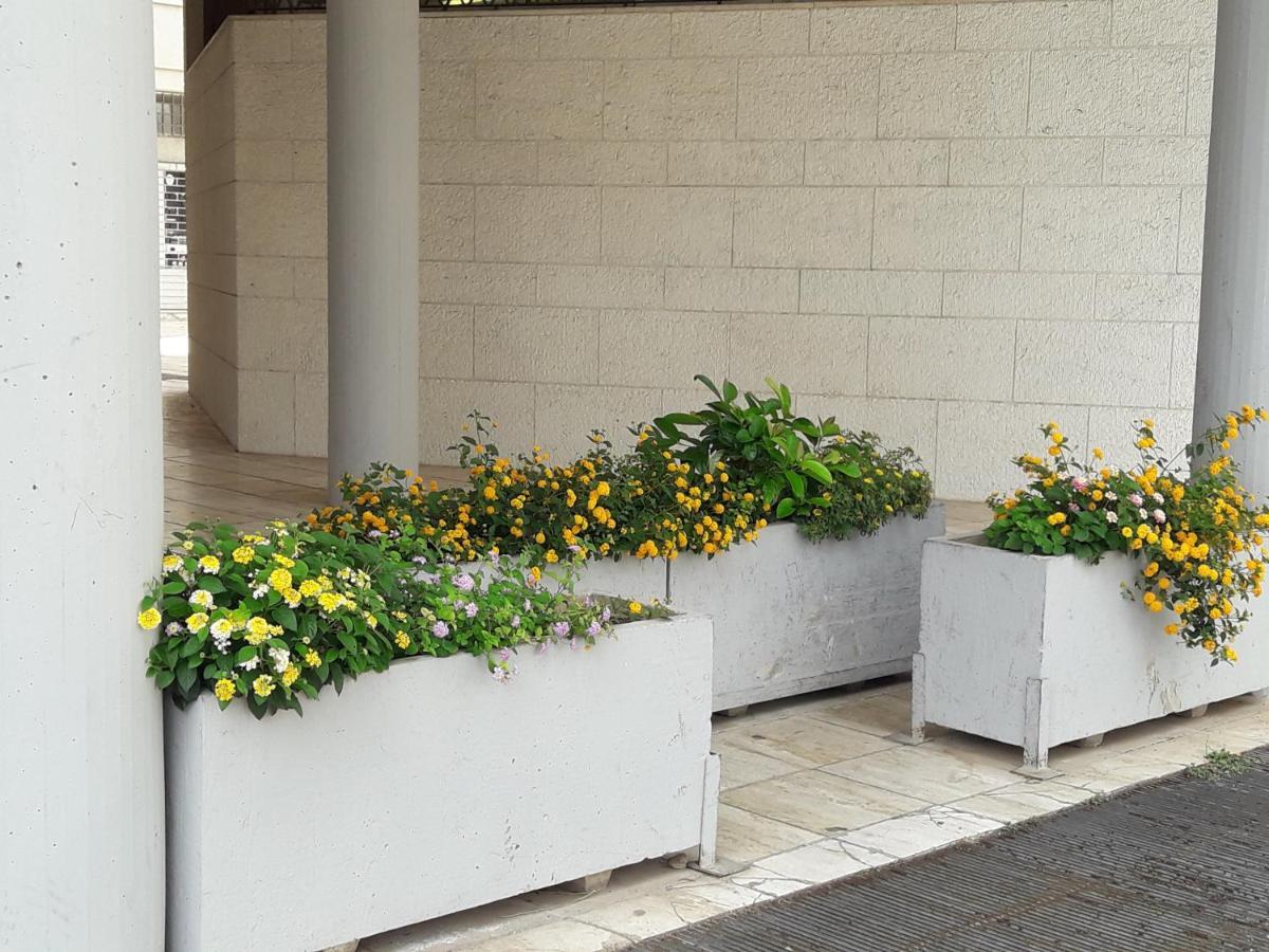 蒙泰罗尼迪莱切I Fiori Di Lucrezia别墅 外观 照片